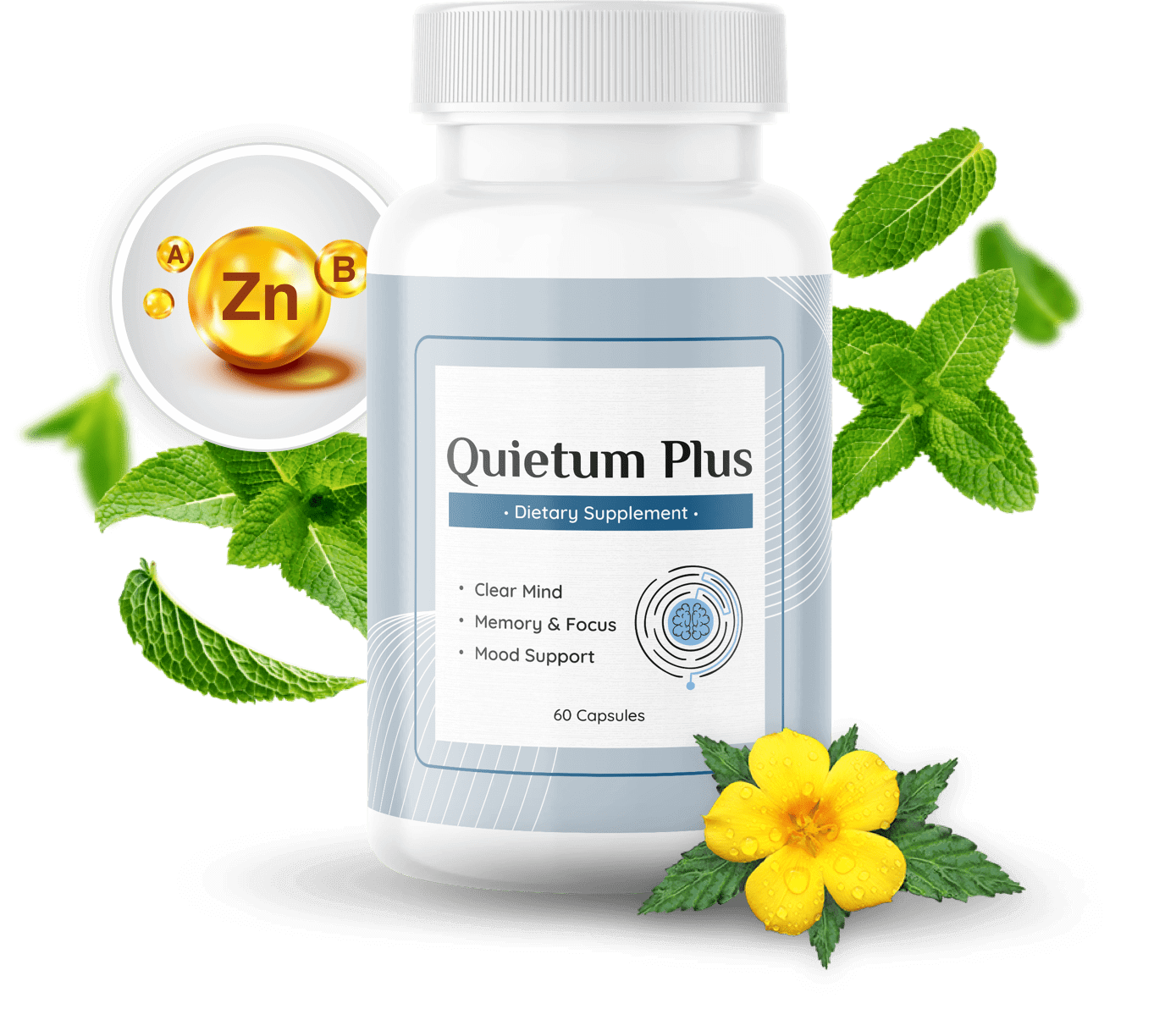 Quietum Plus – Official Site